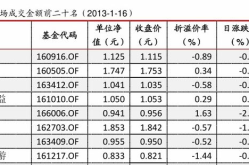 基金净值查询240005,投资策略与市场表现深度解读