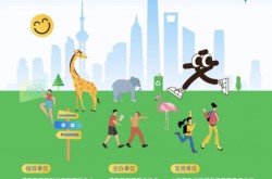 2025“5·19中国旅游日”上海文旅活动臻选来了—枫泾旅游