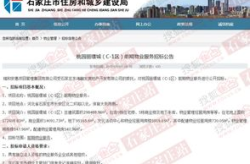 石家庄招标,聚焦重点项目，共谋发展新篇章