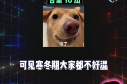 娱乐八卦劲爆吃瓜,劲爆吃瓜事件大曝光！