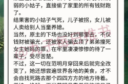 七零炮灰前妻怀孕,重回巅峰逆袭人生
